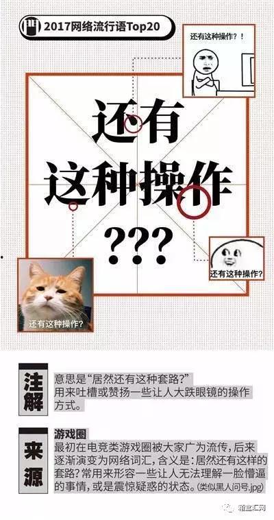 网络流行语吃瓜什么意思,围观娱乐圈的趣味解读